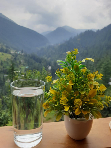 Food & Drinks 4, Jalori View Log House Jibhi, Kullu