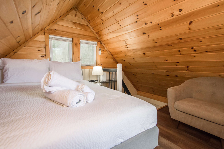 Room 3, Dog Friendly Tiny House On Lake Lure Private Dock, Rutherford