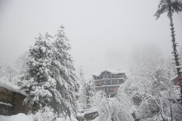 Exterior 5, North Star Manali, Kullu