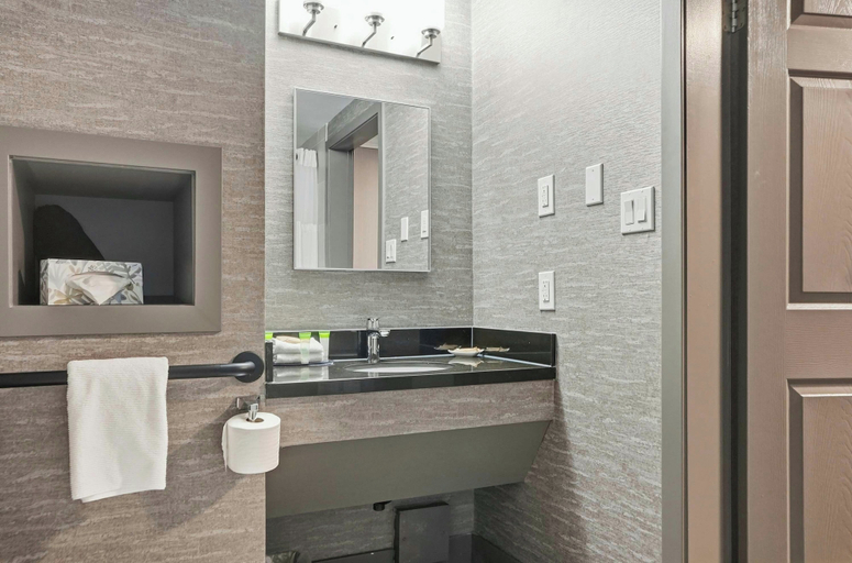 Bathroom 4, Sandman Hotel Saskatoon, Division No. 11