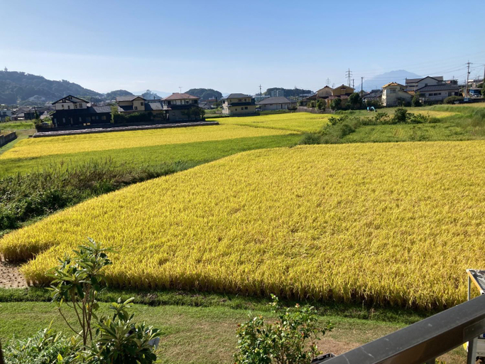 Others 5, OmoyaSai - Vacation STAY 15427, Kirishima