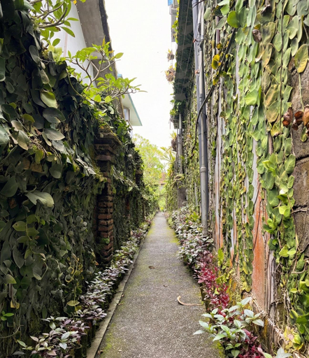 Others 5, Putu's Paradise Guesthouse, Gianyar