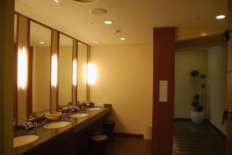 Bathroom 4, Setouchi Kojima Hotel, Kurashiki