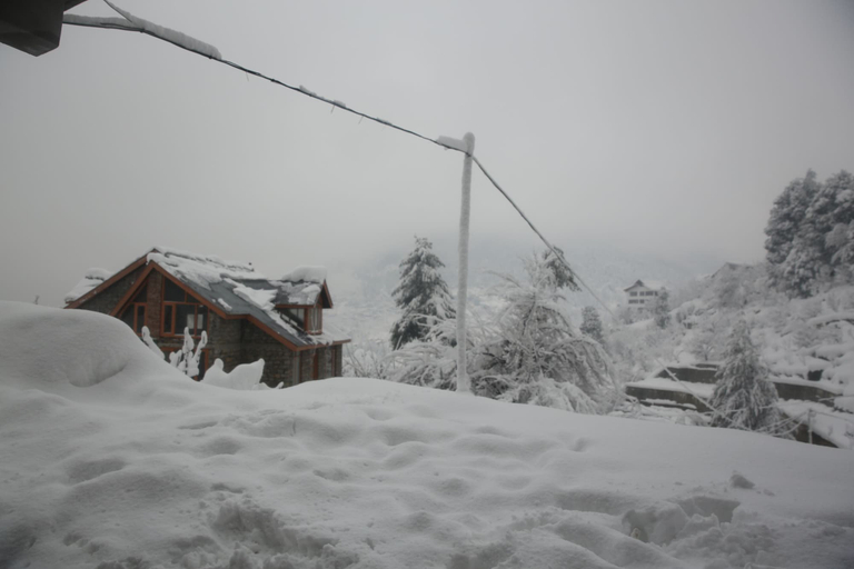 Property grounds 4, North Star Manali, Kullu