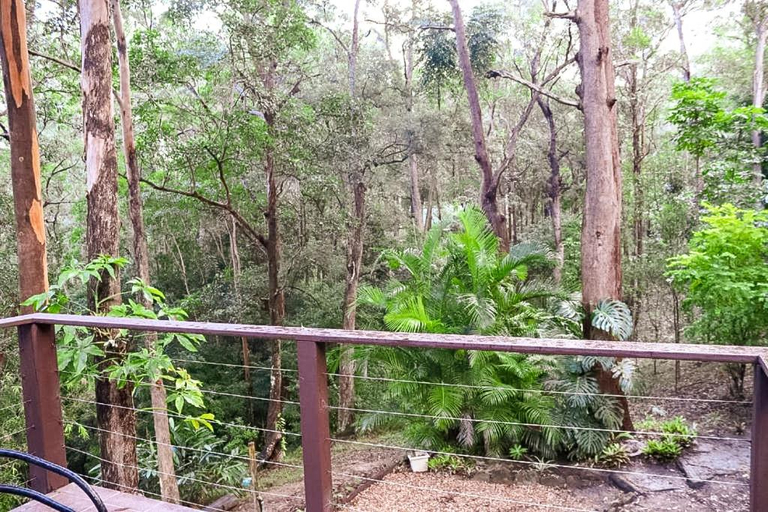 Others 3, GREEN TREES CHALET Australia Zoo close by, Caloundra - Rail Corridor