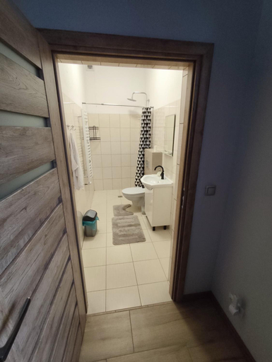 Bathroom 3, Apartamenty u Wieska, Kartuzy