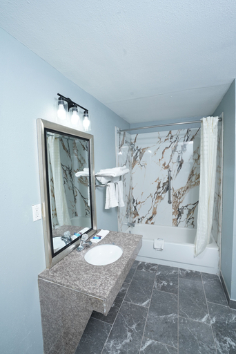 Bathroom 4, Red Carpet Newnan, Coweta
