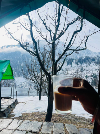 Food & Drinks 4, Paradise Camping Apple Orchard, Kullu