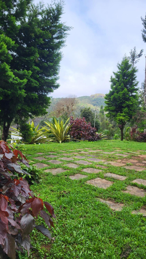 Others 4, Nature kings Timber leaf Homestay, Chikmagalur