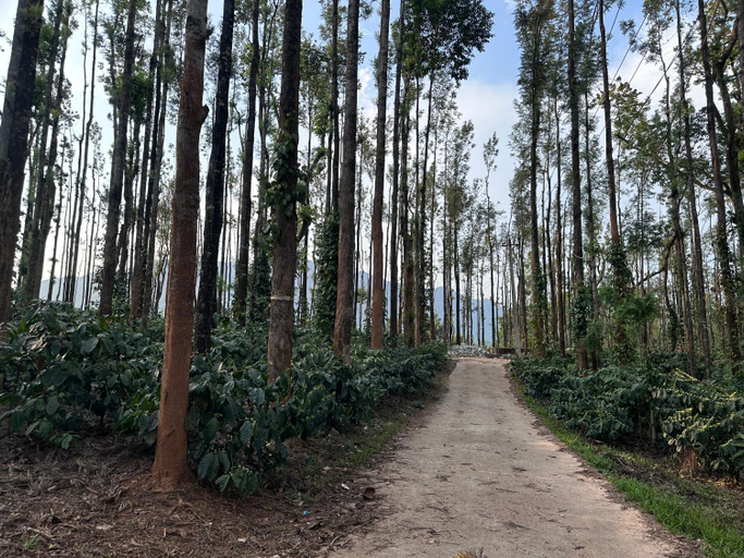 Others 5, janani ecostay, Chikmagalur