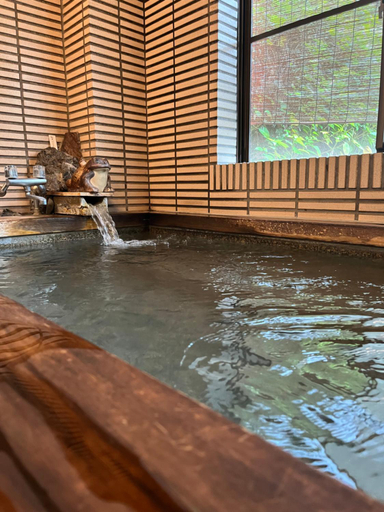 Sport & Beauty 3, Arasawaya Ryokan, Okutama