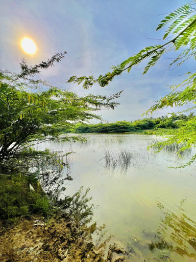 Others 4, Lake View KIRINDA, Thissamaharama