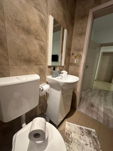 Bathroom 3, Vila Ema Rasnov, Rasnov
