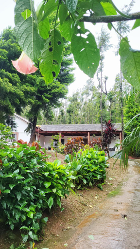 Others 2, Nature kings Timber leaf Homestay, Chikmagalur