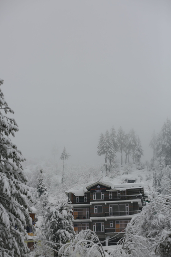 Exterior 3, North Star Manali, Kullu