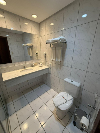 Bathroom, Master Plaza Hotel, Barbacena