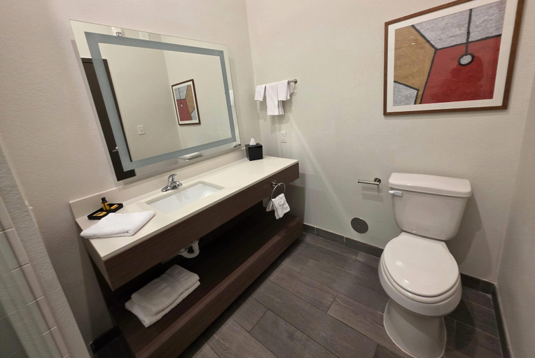 Bathroom 4, Wingate by Wyndham Austin North, Travis