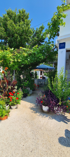 Courtyard, Apartments Lanterna, Sućuraj