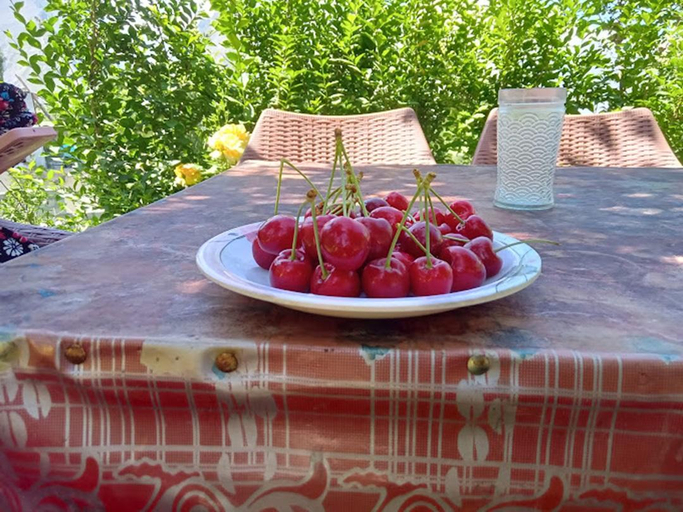 Food & Drinks, Shaheen Resort Hunza Karimabad, Northern Areas