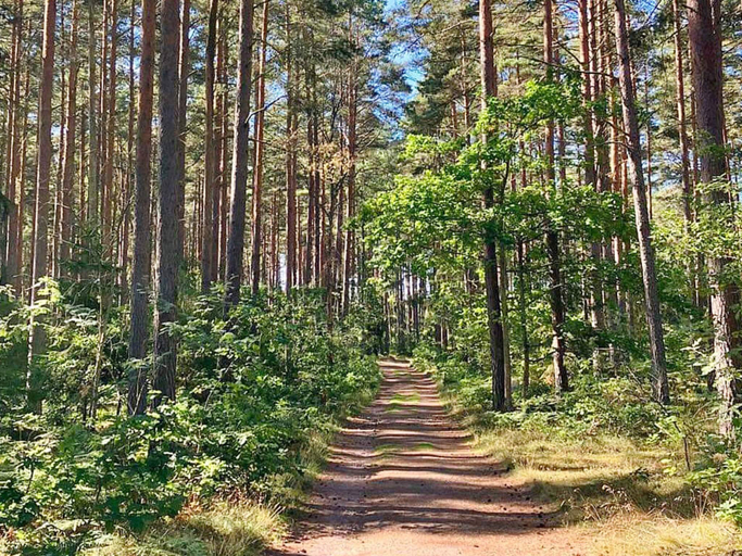 Others 3, person holiday home in ROCKNEBY-By Traum, Kalmar