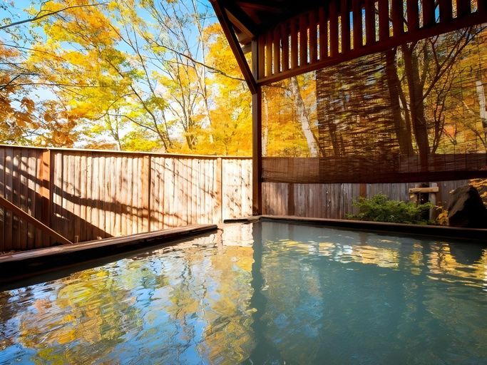 Sport & Beauty 5, Takamiya Hotel Lucent, Yamagata