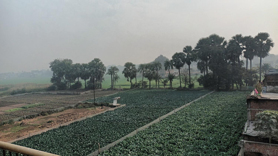 Others 4, Sujata Buddha Homestay, Gaya