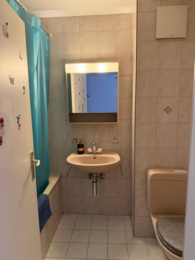 Bathroom, Residence « Les Cretes », Monthey
