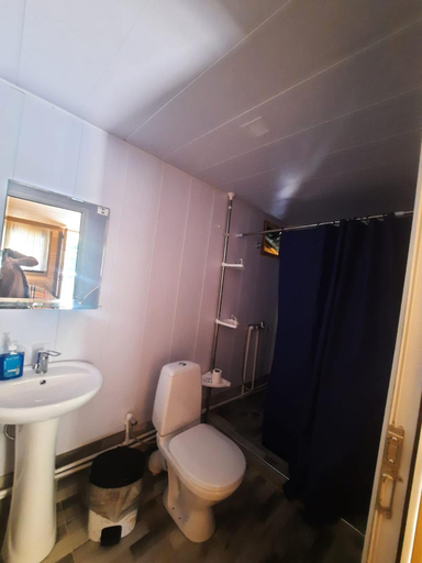 Bathroom 3, Dartlo Hotel, Akhmeta