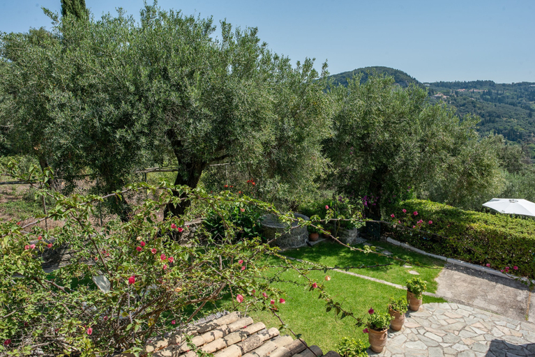 Room 5, Alisachni Apartments, Ionian Islands