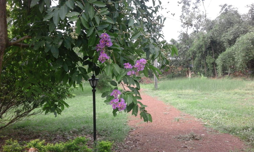 Others 5, ARANYAK Homestay, Birbhum