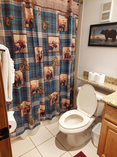 Bathroom, Trails End 110 1 Bedroom Condo, Summit