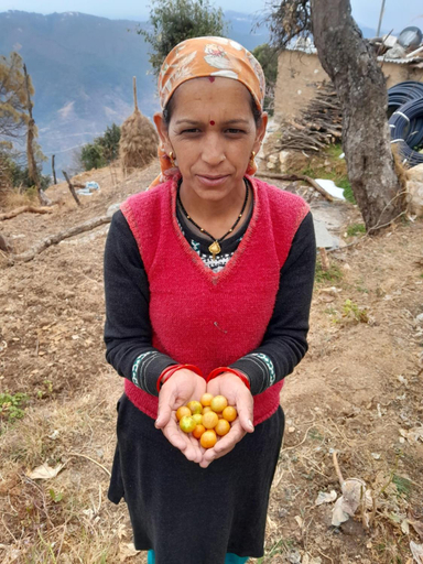 Others 4, Astitva off-beat Forest Retreat, Tehri Garhwal