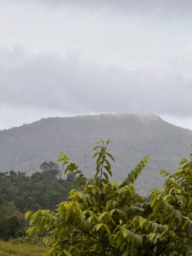 Others 4, Malma view homestay, Kodagu