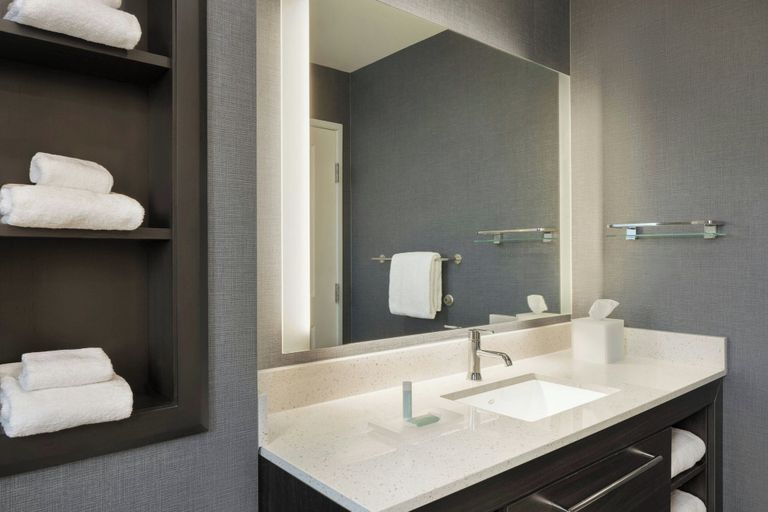 Bathroom 5, Residence Inn by Marriott Battle Creek, Calhoun