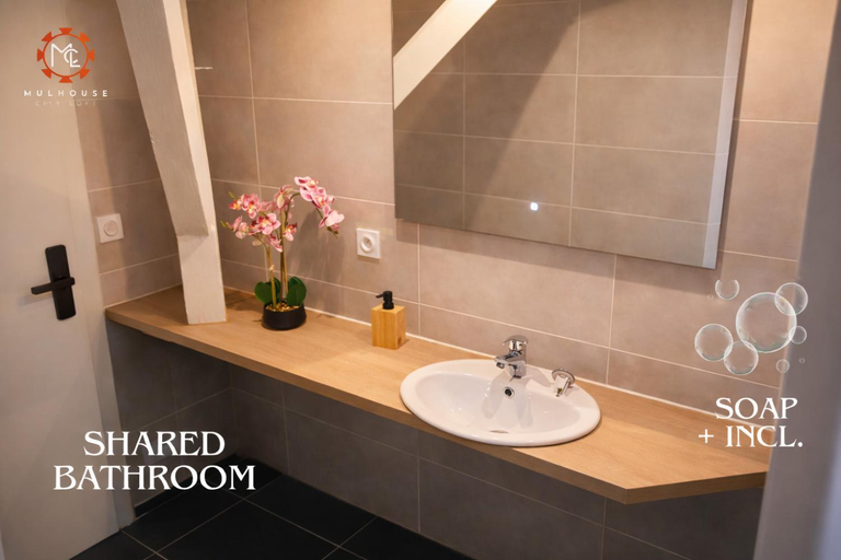 Bathroom 3, Mulhouse City Loft, Haut-Rhin
