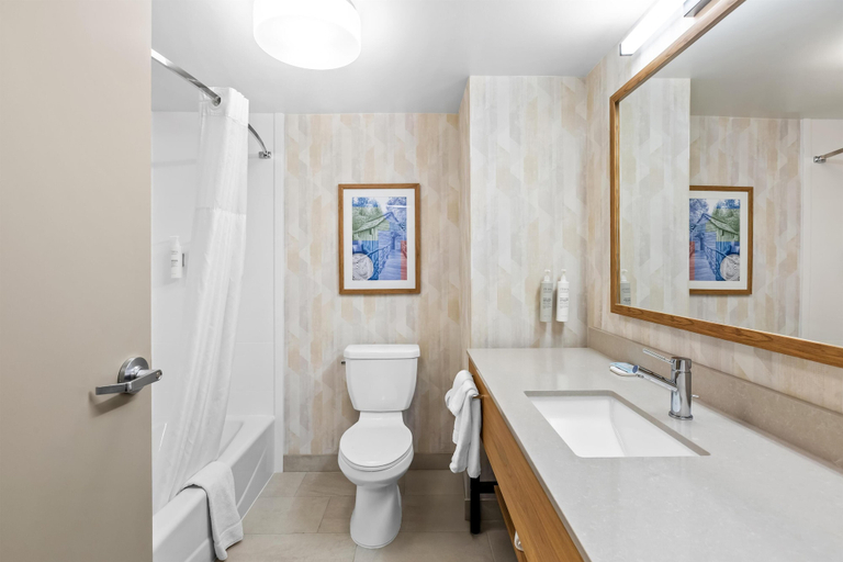 Bathroom 4, Hampton Inn Carrollton, Carroll