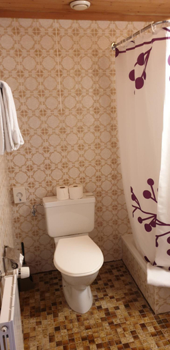 Bathroom 2, Bellevue-Baren, Frutigen
