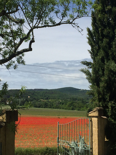 Exterior 4, Les Yourtes de Provence, Gard