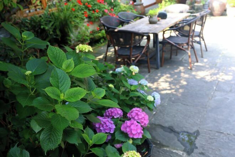 Garden 3, Tushengjin Hotel, Nanchong