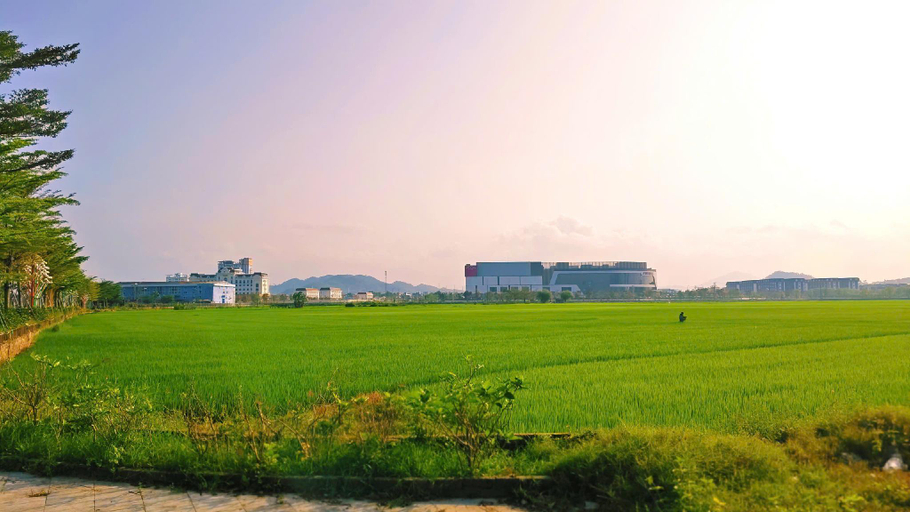 Surrounding environment 4, LD Homestay, Hương Thủy