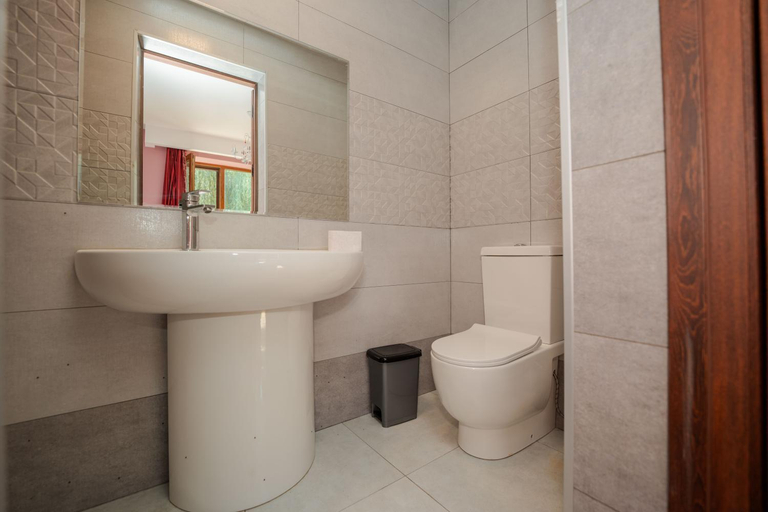 Bathroom 2, ❆cozy, 4 BR. Villa in Ananuri❆, Dusheti