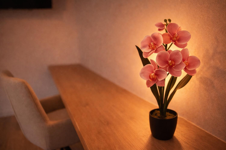 Others 5, Mulhouse City Loft, Haut-Rhin