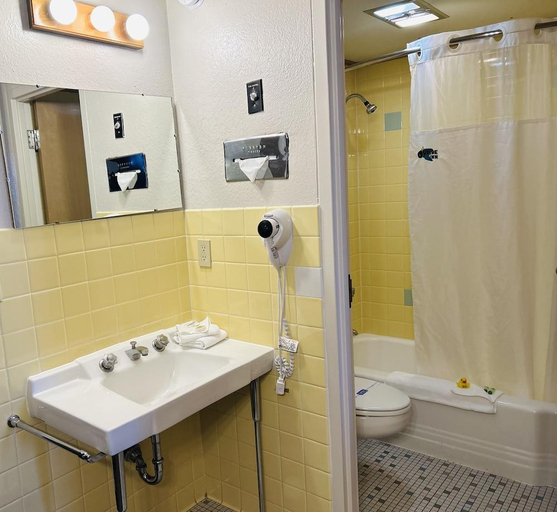 Bathroom 5, O Haire Motor Inn, Cascade