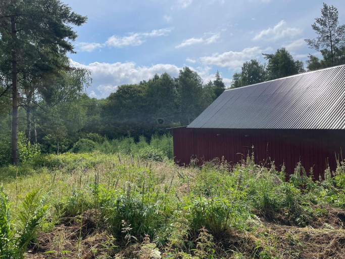 Exterior view 5, Peaceful Forest Retreat with Cottage, Kristianstad