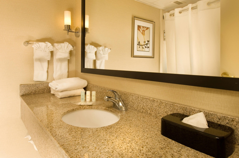 Bathroom 5, Comfort Suites Dulles Airport, Fairfax