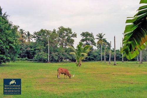 Others 4, MaiKhao Residence, Phuket Island