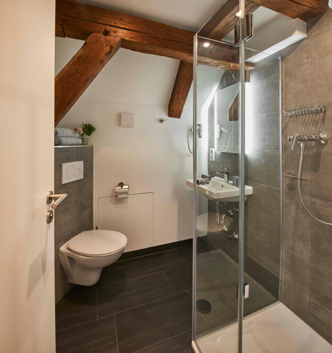 Shower, Gasthaus Alter Wirt, Erding