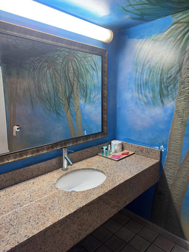 Bathroom 4, Bluestar Motel, Cook