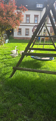 Playground, Gwuni's Farm, Leipzig