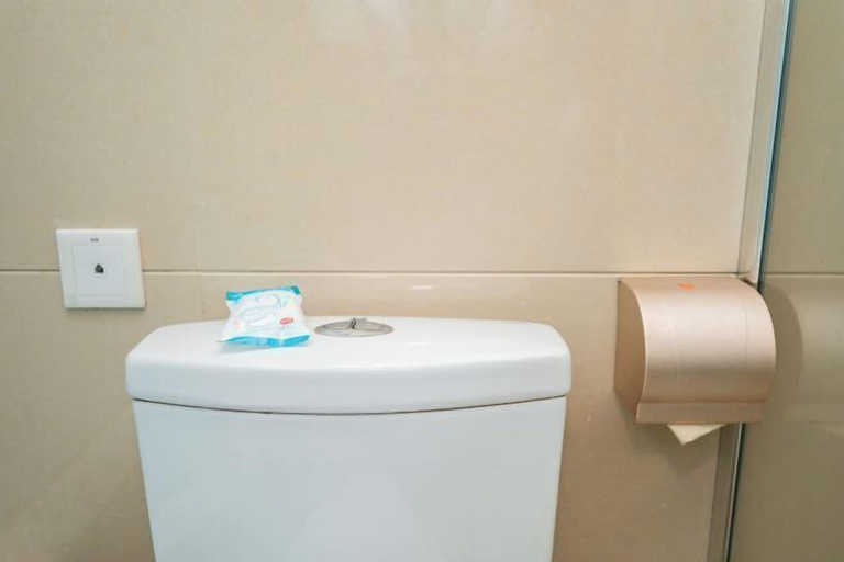 Bathroom 4, Mangshi Beautiful Spring Business Hotel, Dehong Dai and Jingpo